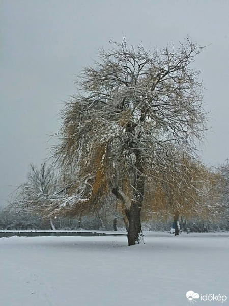 Balatonfűzfő