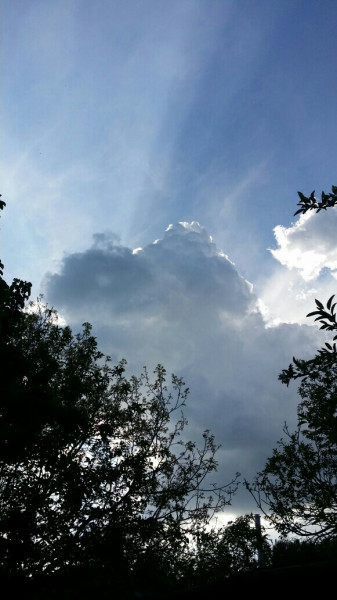 Balatonfűzfő