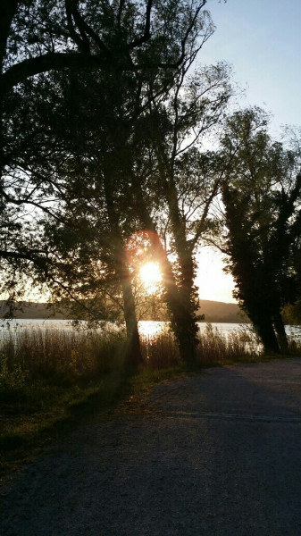 Balatonfűzfő