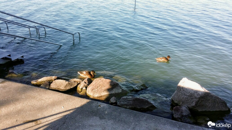 Balatonfűzfő