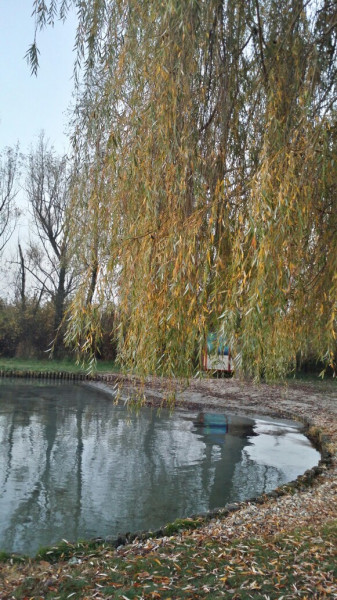 Balatonfűzfő