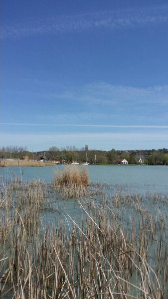 Balatonfűzfő