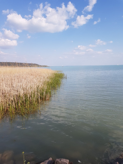 Balatonfűzfő