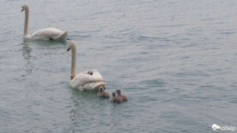 Balatonfűzfő