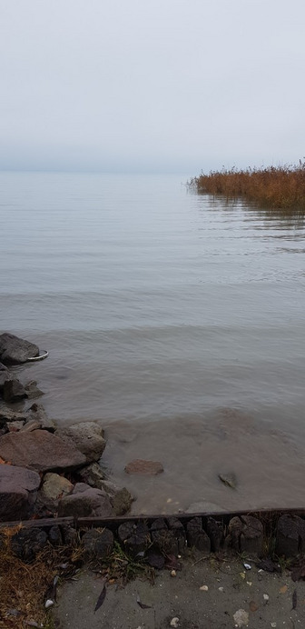 Balatonfűzfő