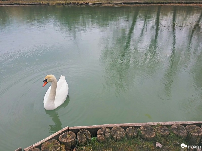 Balatonfűzfő