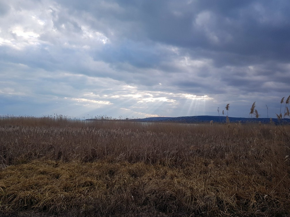 Balatonfűzfő