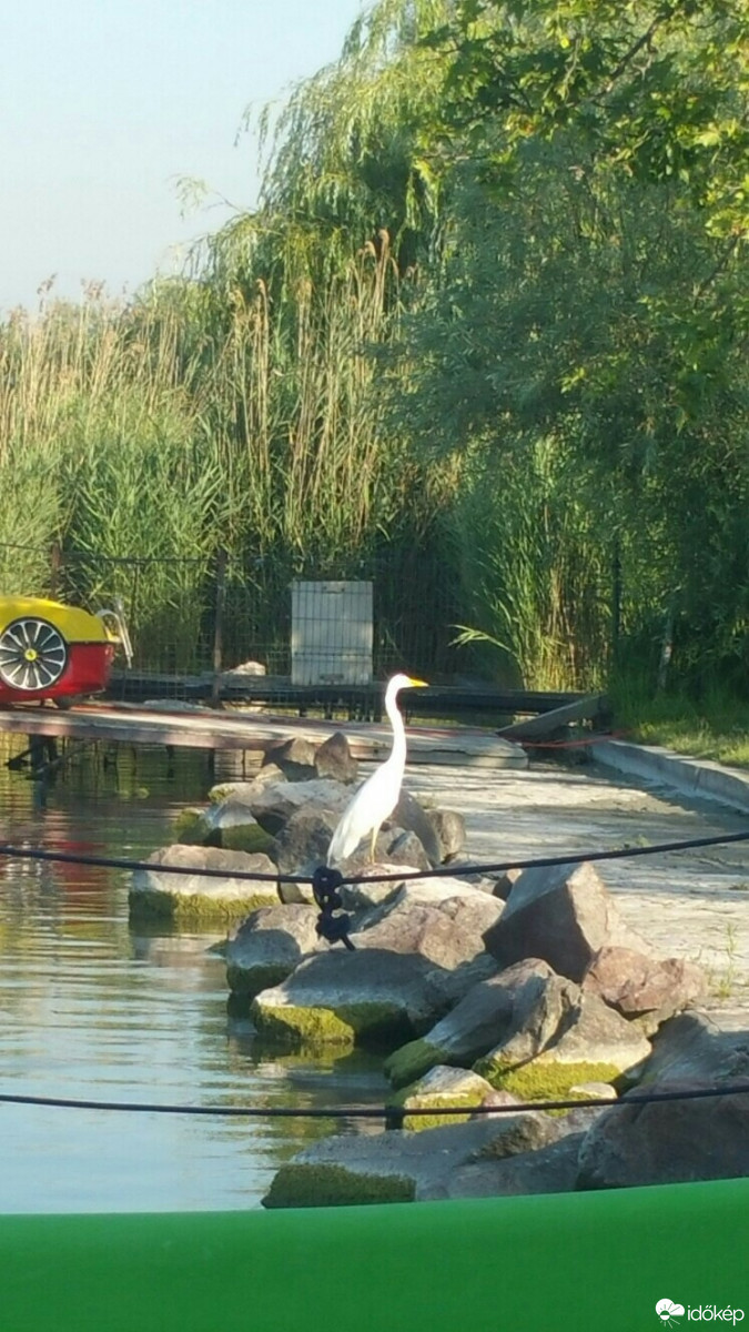 Balatonfűzfő