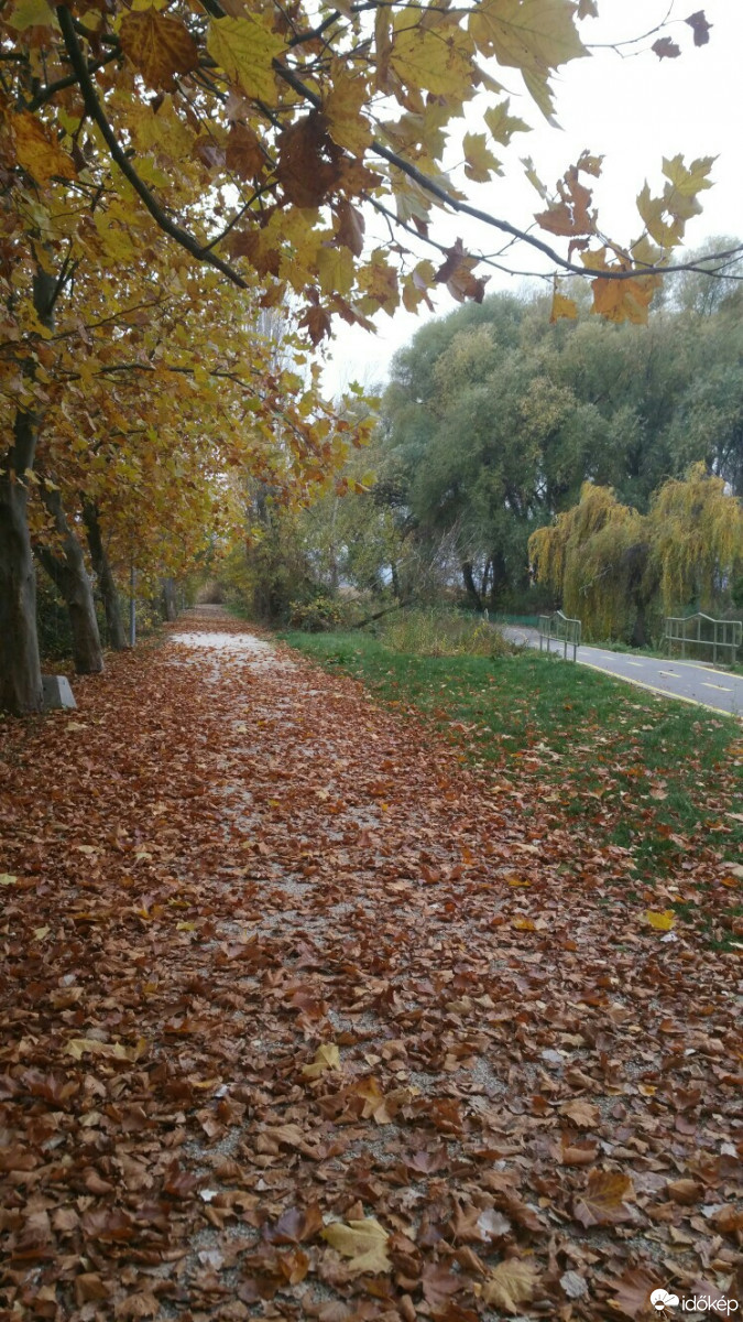 Balatonfűzfő