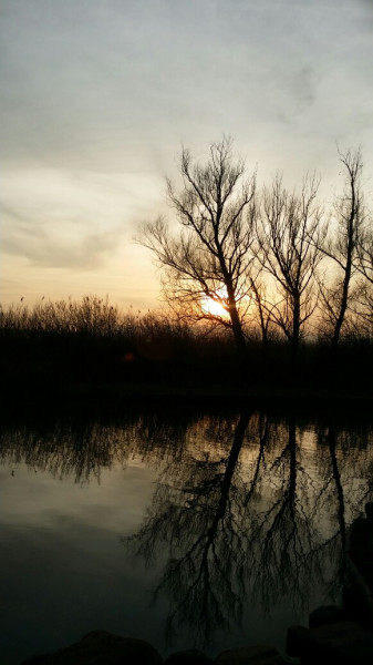 Balatonfűzfő