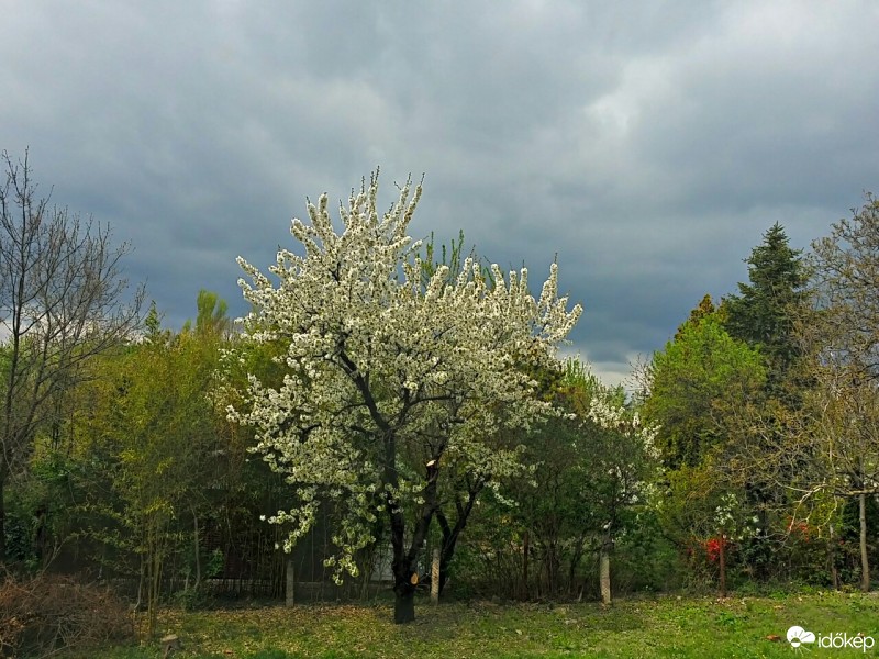 Balatonfűzfő