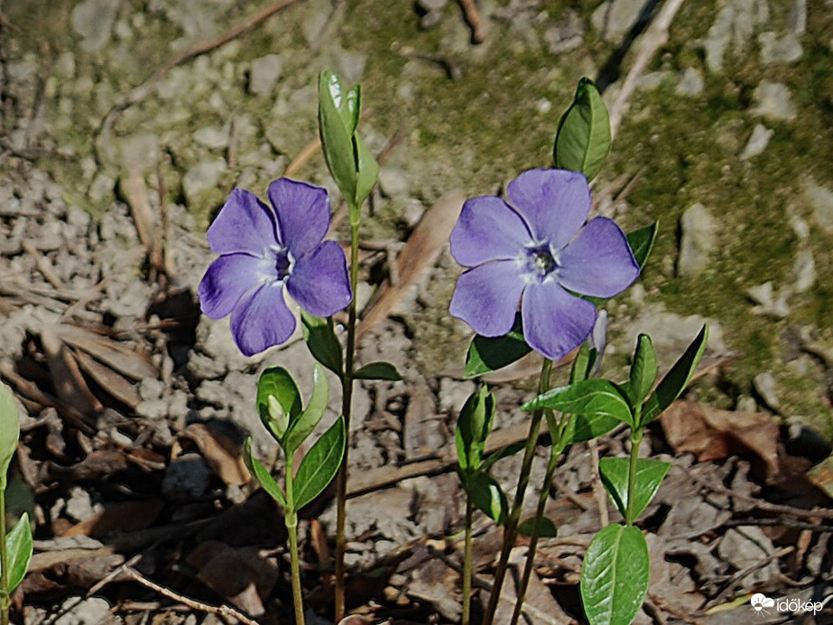 meténg 1