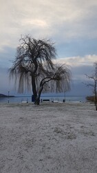 Balatonfűzfő