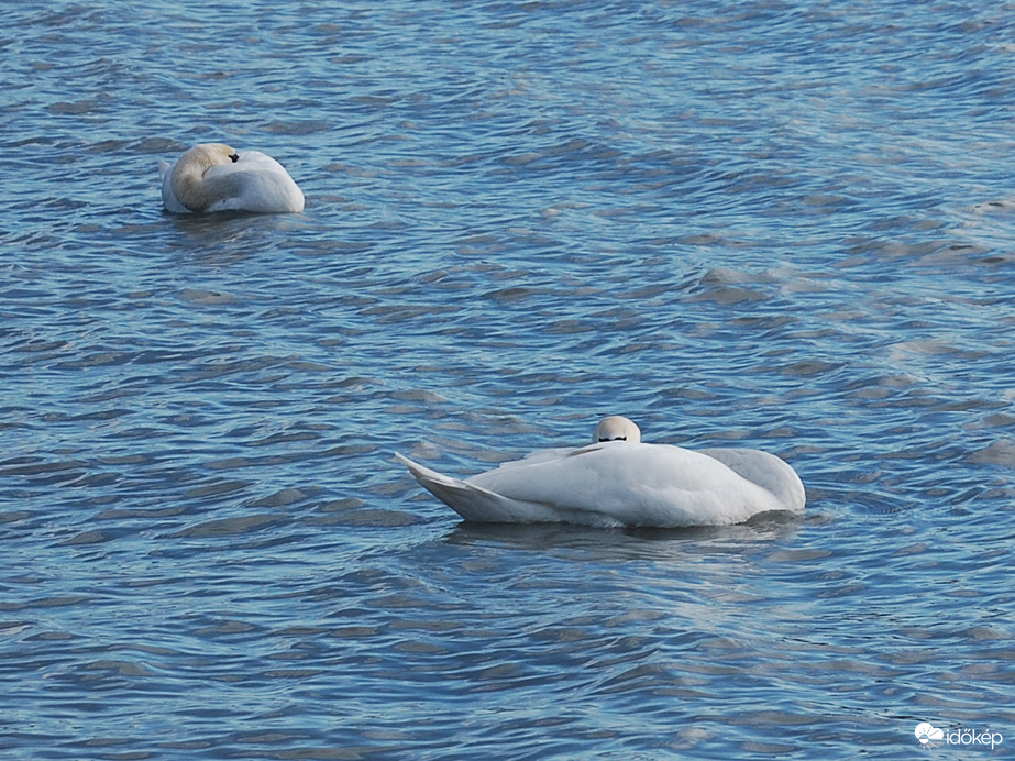 hullámokon pihenők