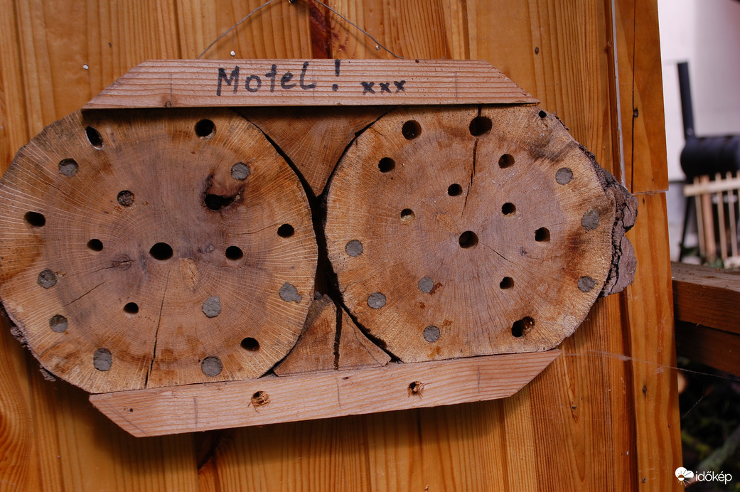 darázsgarázs 50%-os kihasználtság :)