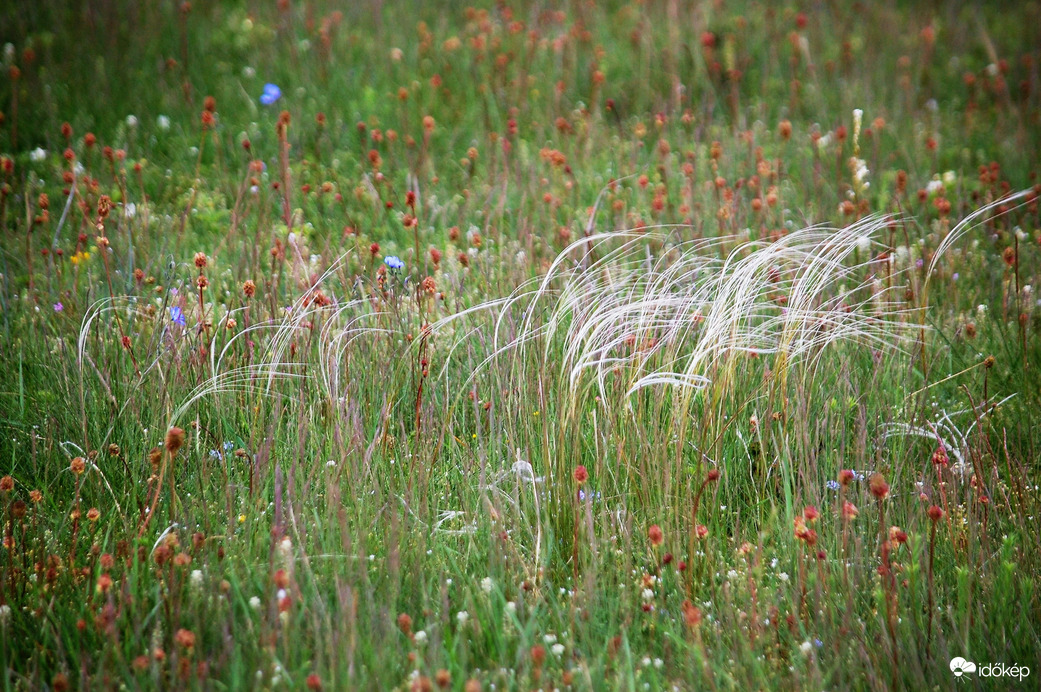 úton Veszprém felé