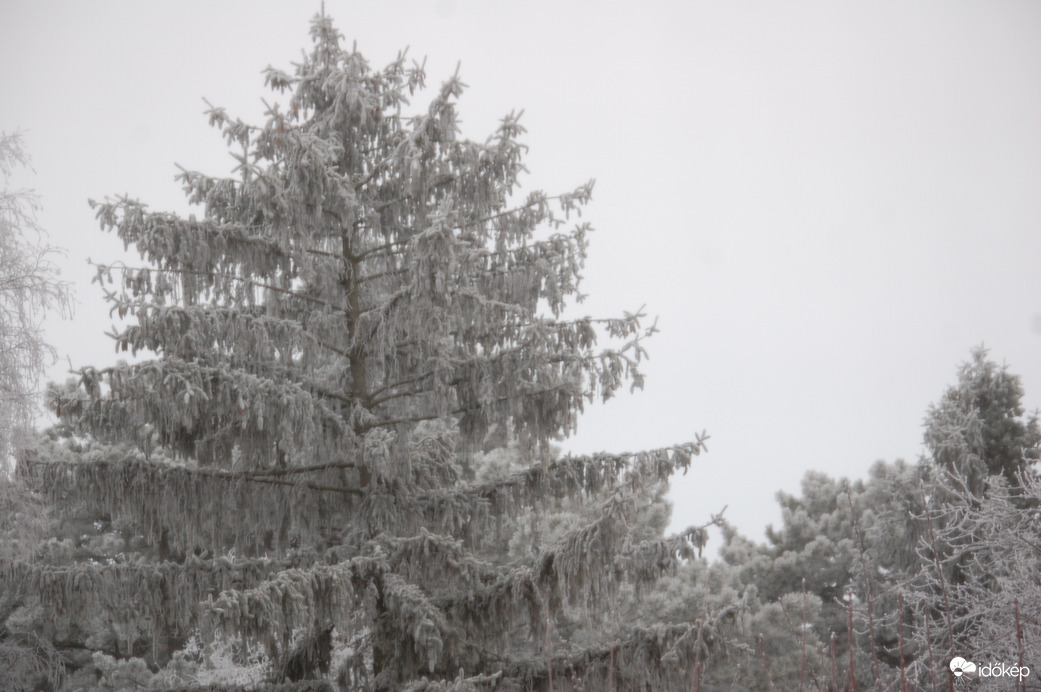 Boldog, békés ünnnepeket kívánok!