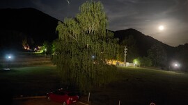 Márianosztra