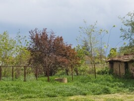 Végegyháza