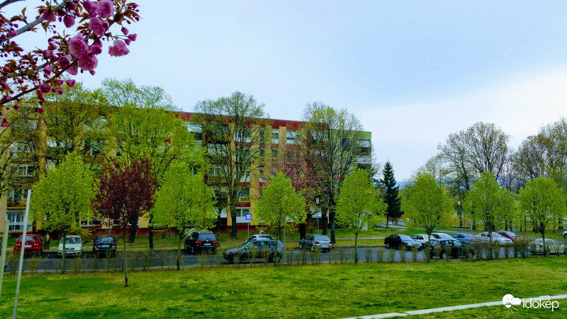 Pécsi tavasz