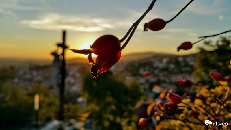 Csipkebogyós naplemente Pécsett