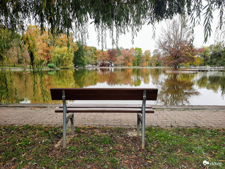 Abaligeti ősz