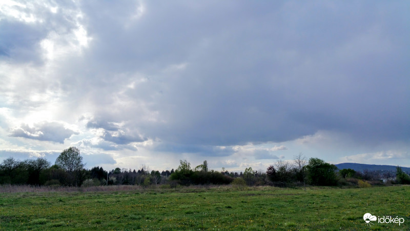 Borongós Pécs