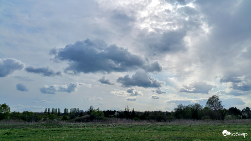 Borongós Pécs