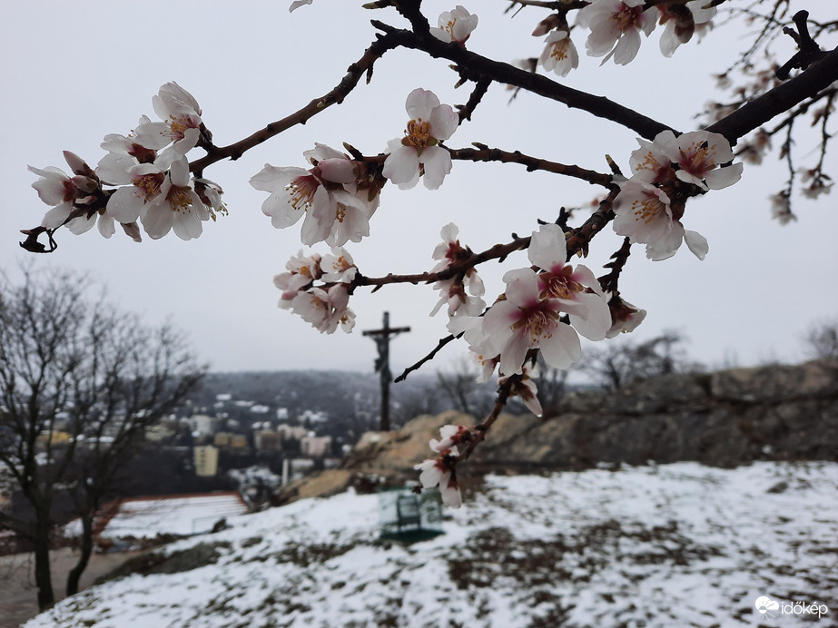 Tél és a tavasz harca