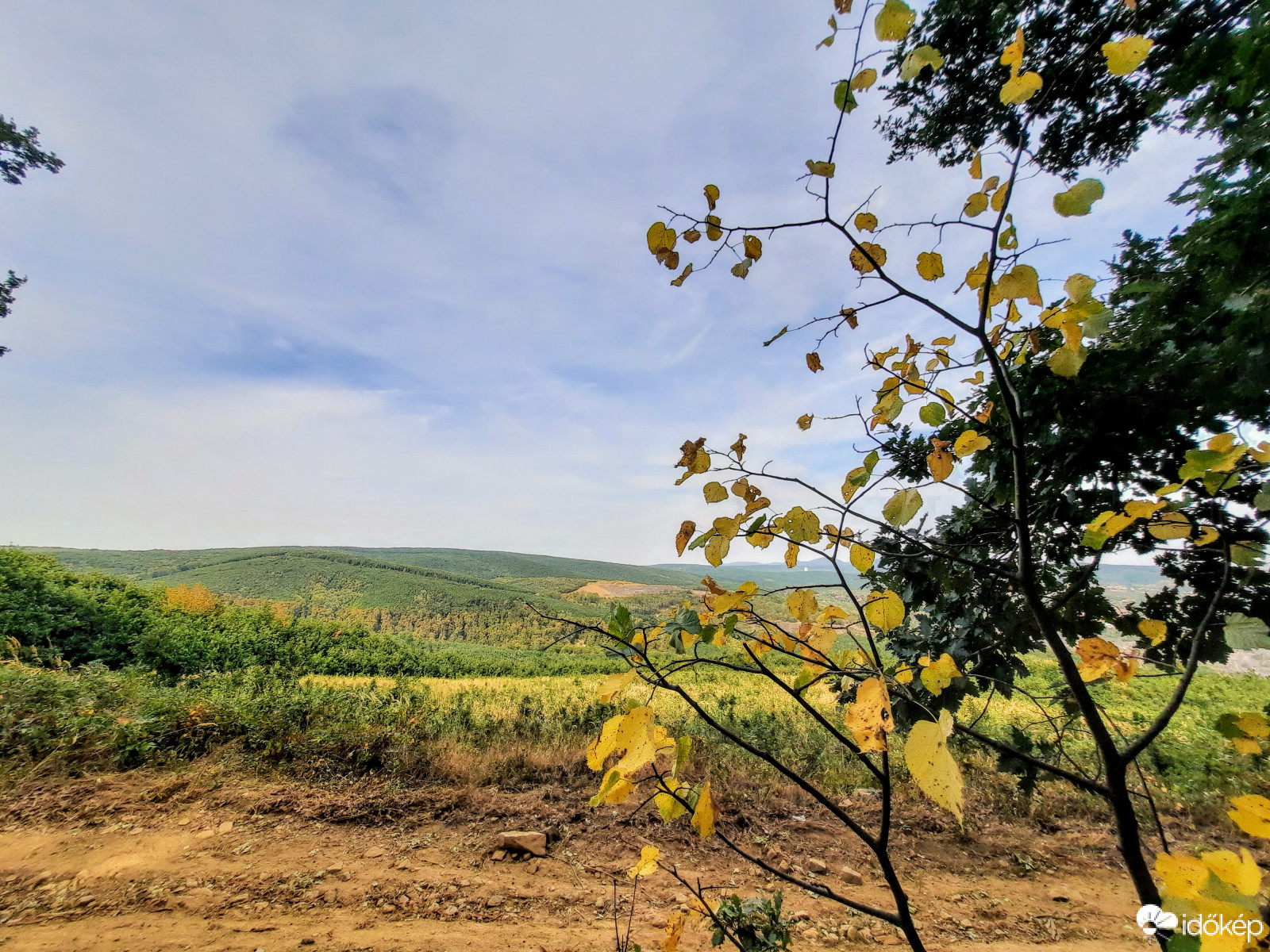 Ősz Pécsett