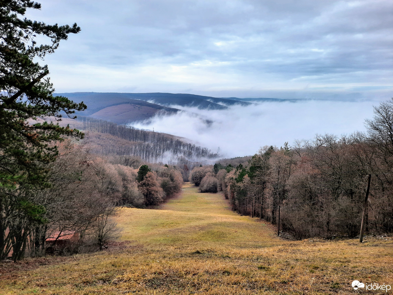 Ködpaplan a Mecsekből
