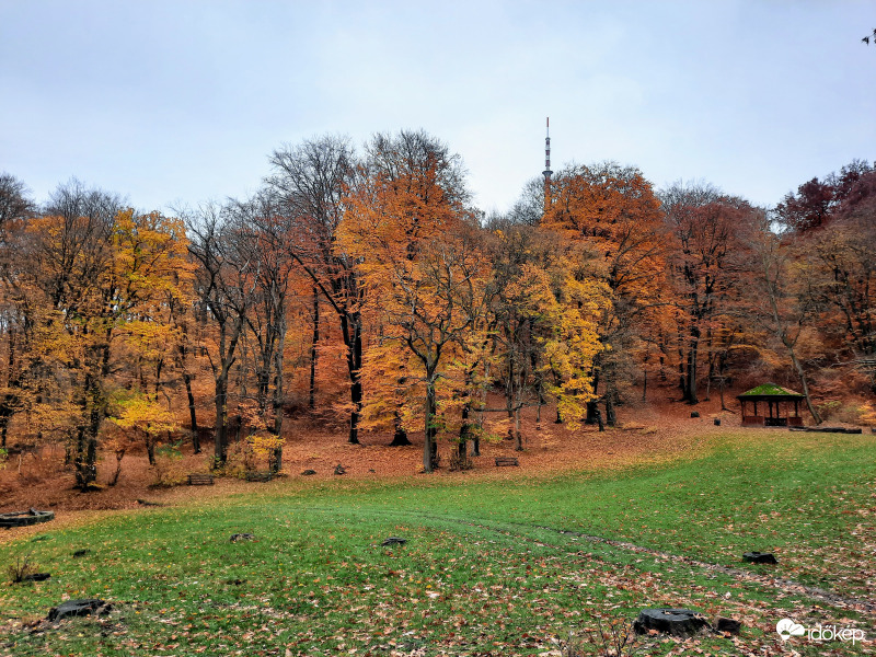 Őszi Mecsek