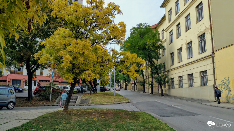Őszi utcakép Pécsről