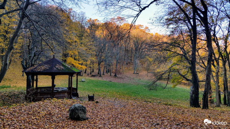 Őszi erdő Pécsett