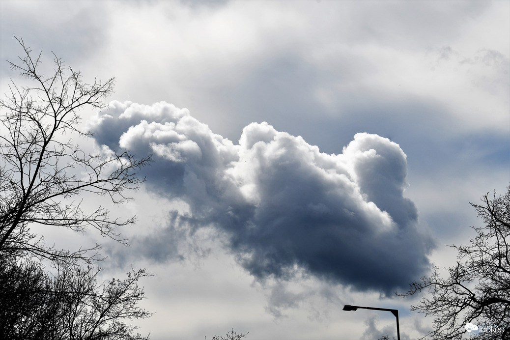 Cumulus