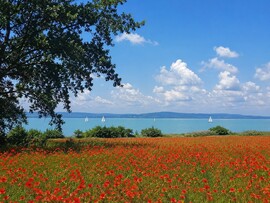 Balatonudvari