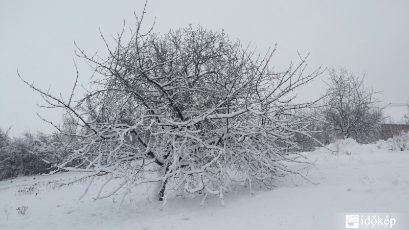 Győrújbarát