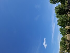 Mindszentgodisa