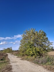 Környe