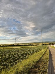 Környe