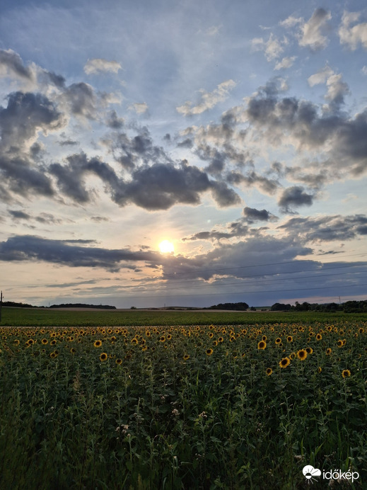 Környe