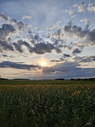 Környe