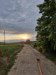 Környe