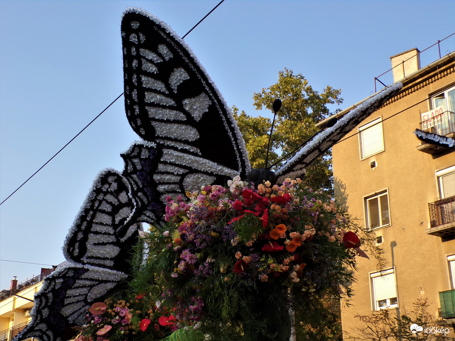 Virágkarnevál, Debrecen