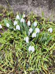 A tavasz első jelei 